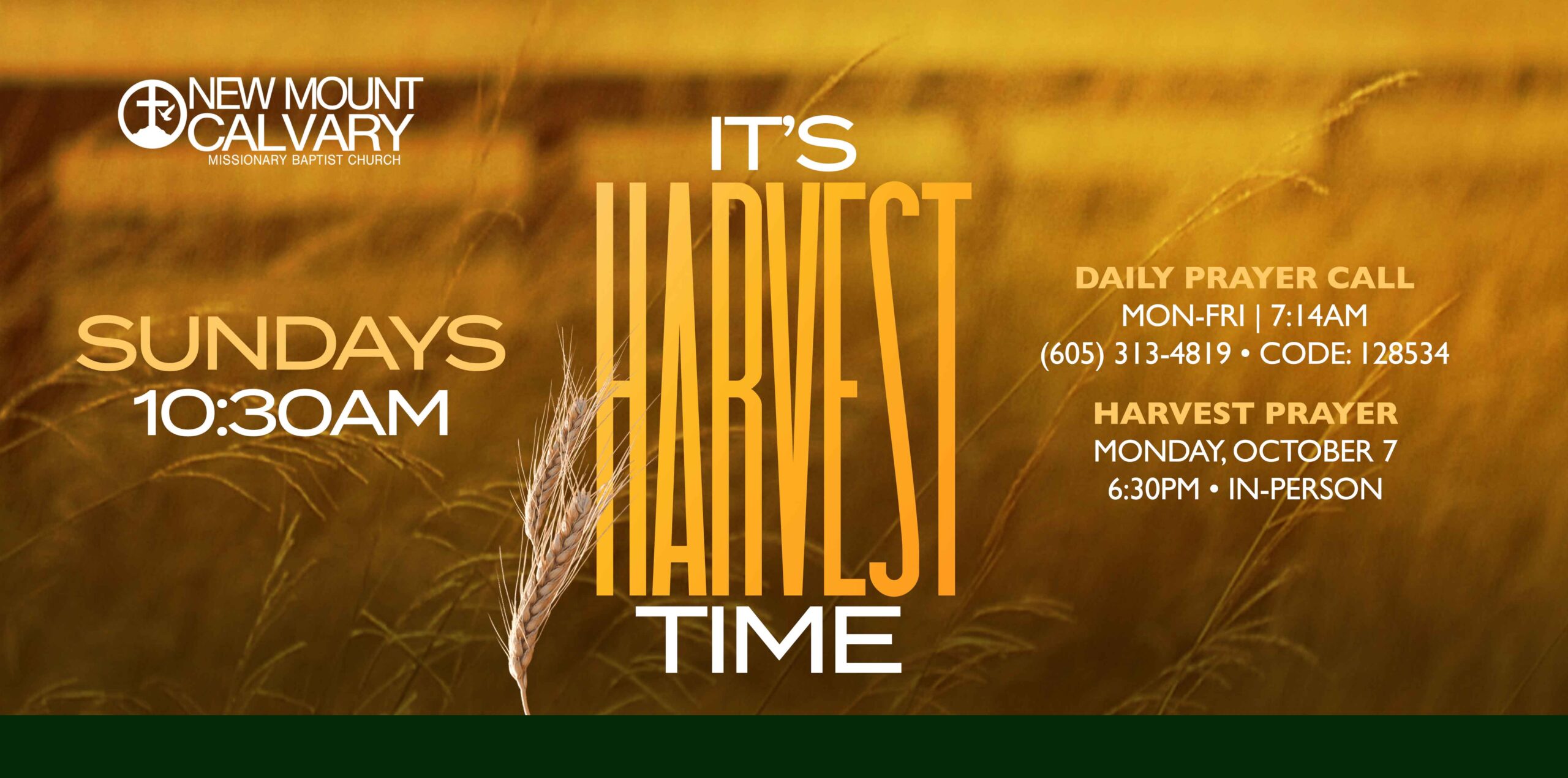 Harvest-Time-Web-Banner-scaled